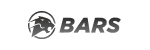 Индонезийские шины Bars