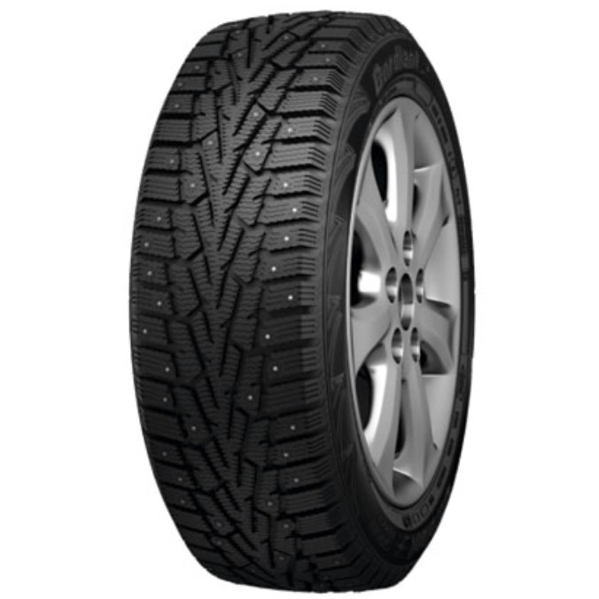 Cordiant pw2