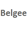 Диски Belgee