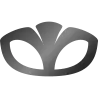 Daewoo