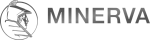 Шины Minerva