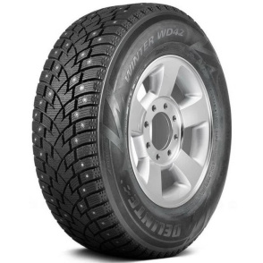 Шины Delinte Winter WD42