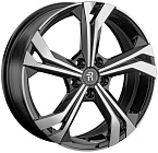 Диски  Skoda (SK183)