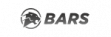 Шины Bars