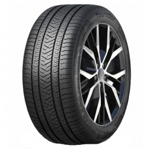 Шины Tourador Winter Pro TSU1