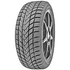 Delinte Winter WD6 205/55 R17 95H XL