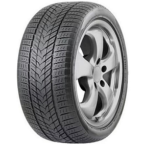 Шины Roadmarch WinterXPro 999 285/50 R20 116H XL