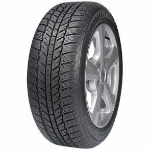 Шины Evergreen EW62