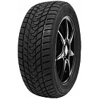 Delinte Winter WD1 195/55 R15 85H